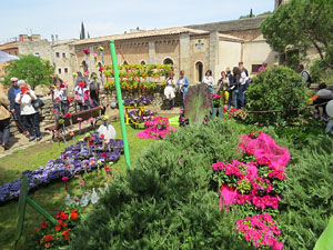 Temps de Flors 2016. Diversos espais del Passeig Arqueol&ograve;gic