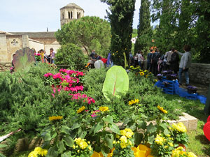 Temps de Flors 2016. Diversos espais del Passeig Arqueol&ograve;gic