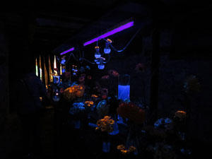 Temps de Flors 2016. La Casa de Lle&oacute; Avinay