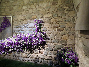 Temps de Flors 2016. Decoraci&oacute; floral als Banys &Agrave;rabs