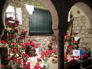 Temps de Flors 2016. Decoraci&oacute; floral als Banys &Agrave;rabs