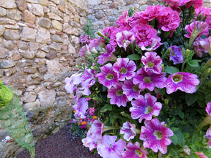 Temps de Flors 2016. Decoraci&oacute; floral als Banys &Agrave;rabs