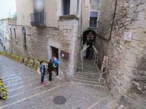 Temps de Flors 2016. El carrer de la For&ccedil;a: patis i carrers