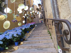 Temps de Flors 2016. El carrer de la For&ccedil;a: patis i carrers