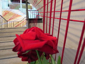 Temps de Flors 2016. Casa Casals al carrer de la Barca