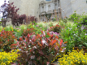 Temps de Flors 2016. Escales est i nord de l'esgl&eacute;sia de Sant Feliu