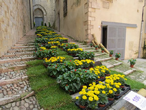 Temps de Flors 2016. Escales est i nord de l'esgl&eacute;sia de Sant Feliu