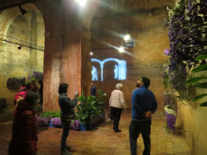 Temps de Flors 2016. Museu d'Hist&ograve;ria de Girona: espais de la Carbonera, la Cisterna, la Terrassa del Museu i l'Assecador