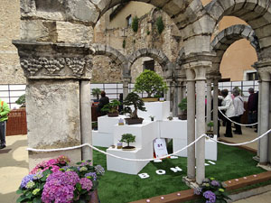 Temps de Flors 2016. Museu d'Hist&ograve;ria de Girona: espais de la Carbonera, la Cisterna, la Terrassa del Museu i l'Assecador