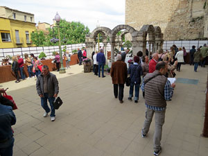Temps de Flors 2016. Museu d'Hist&ograve;ria de Girona: espais de la Carbonera, la Cisterna, la Terrassa del Museu i l'Assecador