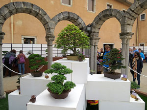 Temps de Flors 2016. Museu d'Hist&ograve;ria de Girona: espais de la Carbonera, la Cisterna, la Terrassa del Museu i l'Assecador