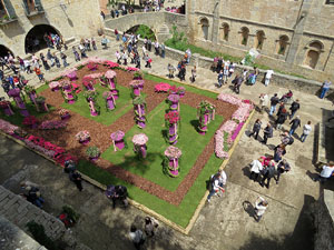 Temps de Flors 2016. Muntatges i instal&middot;lacions a la pla&ccedil;a dels Jurats