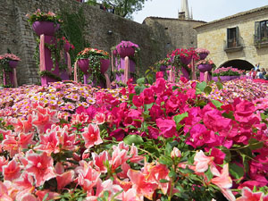 Temps de Flors 2016. Muntatges i instal&middot;lacions a la pla&ccedil;a dels Jurats
