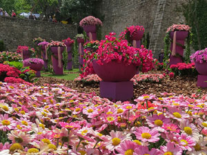 Temps de Flors 2016. Muntatges i instal&middot;lacions a la pla&ccedil;a dels Jurats
