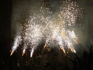 Temps de Flors 2016. Espectacle Lymbus, a c&agrave;rrec de Comediants, a les escales de Sant Feliu