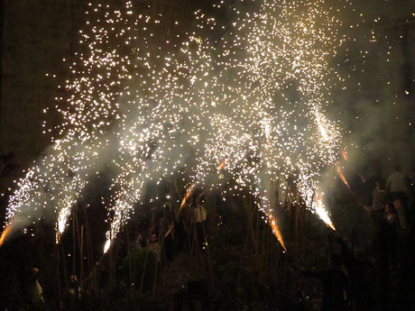 Temps de Flors 2016. Espectacle Lymbus, a c&agrave;rrec de Comediants, a les escales de Sant Feliu