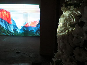 Temps de Flors 2016. Antic Cinema Modern