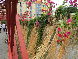 Temps de Flors 2016. Els ponts de l'Onyar