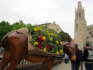 Temps de Flors 2016. Els ponts de l'Onyar