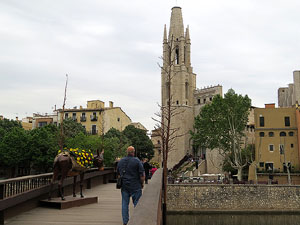 Temps de Flors 2016. Els ponts de l'Onyar