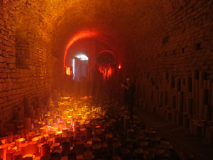 Temps de Flors 2016. Instal&middot;laci&oacute; M&oacute;n on&iacute;ric als soterranis de la Catedral