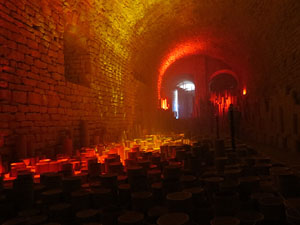 Temps de Flors 2016. Instal&middot;laci&oacute; M&oacute;n on&iacute;ric als soterranis de la Catedral