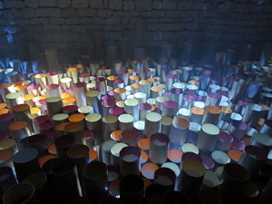 Temps de Flors 2016. Instal&middot;laci&oacute; M&oacute;n on&iacute;ric als soterranis de la Catedral
