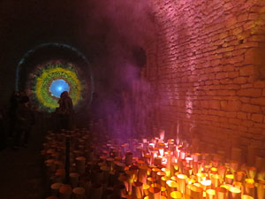 Temps de Flors 2016. Instal&middot;laci&oacute; M&oacute;n on&iacute;ric als soterranis de la Catedral
