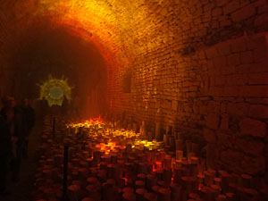 Temps de Flors 2016. Instal&middot;laci&oacute; M&oacute;n on&iacute;ric als soterranis de la Catedral