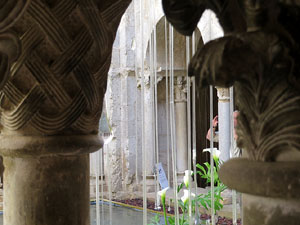 Temps de Flors 2016. Claustre de Sant Pere de Galligants