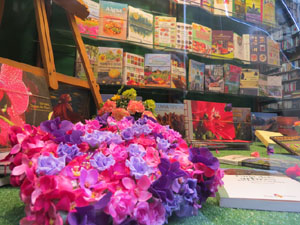 Aparador maig: Temps de Flors
