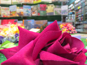 Aparador maig: Temps de Flors
