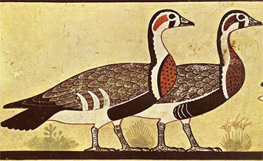 Oques de Meidum. 2500 aC. Museu Egipci del Caire