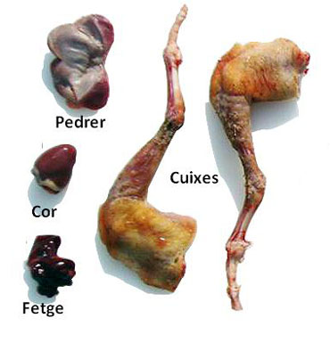 Parts d'un colom&iacute;