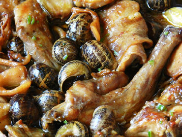 El conill amb cargols, fet