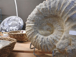 La botiga dels minerals