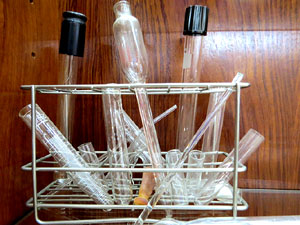 &Ograve;ptica Dalmau