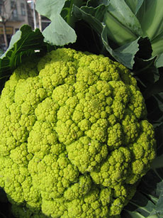 Ecocab&agrave;s, mercat ecol&ograve;gic i artesanal