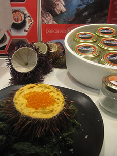 F&ograve;rum Gastron&ograve;mic 2013