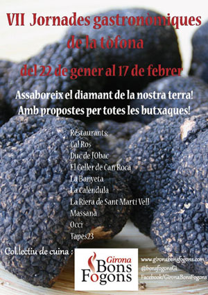 Cartell de l'edici&oacute; 2013 de l'esdeveniment