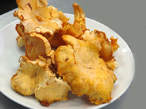 Aula Gastron&ograve;mica del Mercat del Lle&oacute;