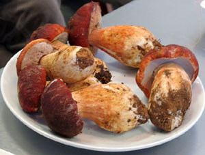 Aula Gastron&ograve;mica del Mercat del Lle&oacute;