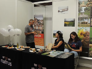 Firatast d'estiu 2014 a Fira de Girona