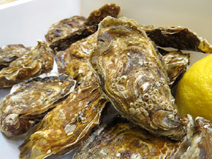 Esdeveniments gastron&ograve;mics. Firatast 2017 a Fira de Girona