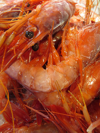 Productes al F&ograve;rum: les gambes de Palam&oacute;s