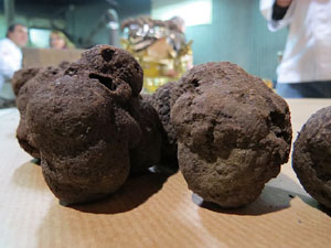 IX Jornades gastron&ograve;miques de la t&ograve;fona 2015