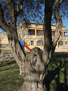 El poble de Bescan&oacute;