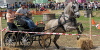 Mostra