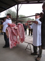 Zoom