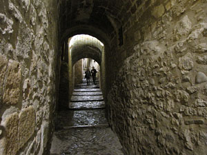 Carrer de Sant Lloren&ccedil;
